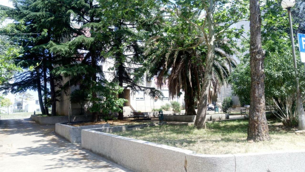 Zara- Zd Apartment